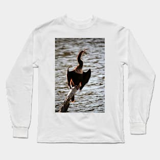 Cormorant In The Sunlight Long Sleeve T-Shirt